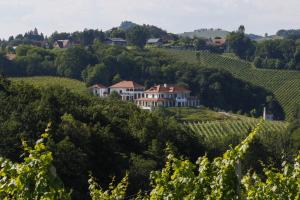 ein Haus auf einem Hügel in einem Weinberg in der Unterkunft Hirschmugl Domaene Seggau GmbH in Leibnitz