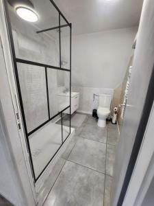 a bathroom with a toilet and a glass shower at Gîte du logelbach in Wintzenheim +22 photos