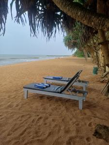 two lounge chairs on a beach with the ocean at Roy Villa Beach Front in Padagala