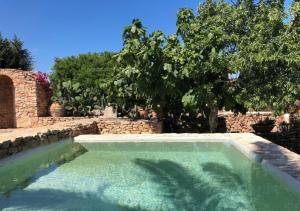 a swimming pool in a yard with a tree at Can Toni Platera in Sant Francesc Xavier