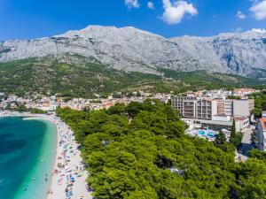 a view of a beach in a town with mountains at Hotel Horizont in Baška Voda