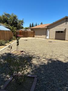 a yard with a plant in the middle of a driveway at Turlocks Little Palace in Turlock