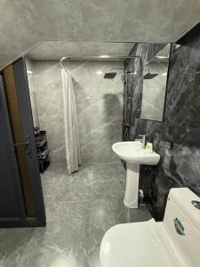 a bathroom with a sink and a shower and a toilet at Elen Apartment Goris in Goris +6 photos
