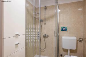 a bathroom with a glass shower with a toilet at Casa Romina in Višnjan +23 photos