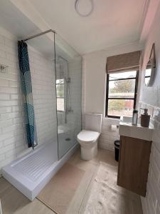 a bathroom with a toilet and a glass shower at La Casona Papudo in Papudo +20 photos