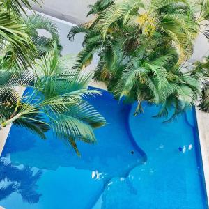 an overhead view of a blue swimming pool with palm trees at SKY INN Oficial Acapulco Suites & Condo Mediterrane in Acapulco
