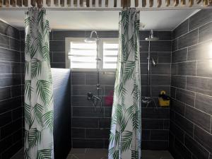 a bathroom with a shower curtain with green leaves at Ti caze Montplaisir 2 in Saint-Louis