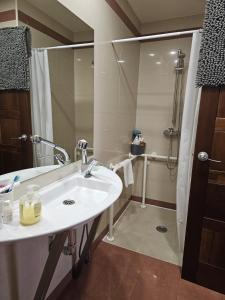a bathroom with a sink and a shower at Palacio San Facundo in Segovia +45 photos