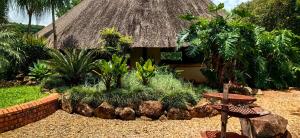 a house with a thatch roof and some plants at Serenity Cottages in Richmond