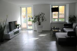 a living room with a couch and a tv at Business Apartment Turgi in Turgi