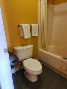 a bathroom with a white toilet and a shower at LACENTER MOTEL in La Center