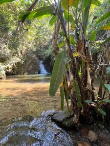 a person standing in the water in front of a waterfall at Eco Pousada São Francisco PETAR in Iporanga