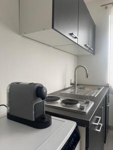 eine Küche mit Toaster und Spüle in der Unterkunft Petite Belle in Eppingen