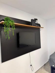 a tv hanging on a wall with a plant at Vicente apart 2 - CON COCHERA in Villa María