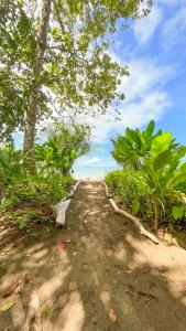 a dirt road with trees and the ocean in the background at Playa Ganadito Ecolodge in Drake