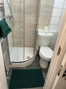 a small bathroom with a toilet and a shower at The Grove En-Suite Rooms in Bristol +10 photos