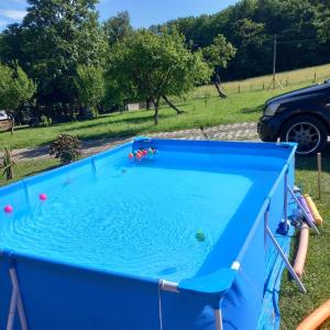 a large pool of water in a yard at Agroturystyka Pod Złotą Wiechą in Uście Gorlickie