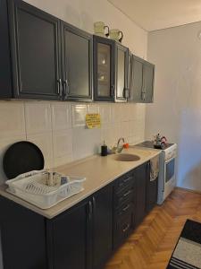 a kitchen with black cabinets and a sink at Hostel 8 in Prishtinë