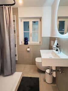 ein Badezimmer mit Waschbecken und Toilette in der Unterkunft TheBlueInn in Wasserburg am Inn + 13 Fotos