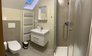 a bathroom with a toilet and a sink and a shower at Apartmány TAS in Jablonec nad Jizerou +21 photos