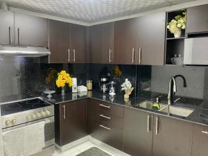 a kitchen with brown cabinets and a sink at Residencial Lassonde Guest House in David +20 photos