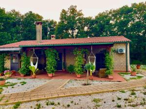a small house with plants in front of it at Agriturismo Antiglia in Sovana +8 photos