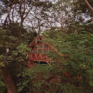 a red bridge in the middle of a forest at Cielo y Tierra in Santa Cruz +37 photos