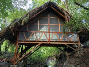 a tree house with a thatched roof at Cielo y Tierra in Santa Cruz