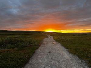 a dirt road in the middle of a field at sunset at Nyoppusset leilighet i Vadsø in Vadsø