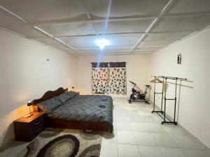 a bedroom with a bed and a light on the ceiling at Brimelia Lodge in Bammbatuk