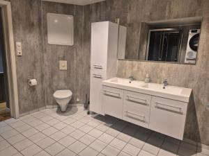 a bathroom with a white sink and a toilet at Senja 4 Summit in Torsken +47 photos