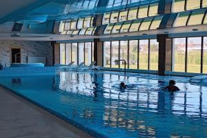 a large swimming pool with two people in the water at Comfortable apartment, indoor pool and sauna in Dziwnów