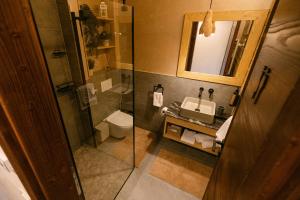 a bathroom with a shower and a toilet and a sink at Chalet Village Bran in Bran +67 photos