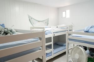 ein Zimmer mit zwei Etagenbetten in einem Zimmer in der Unterkunft Agüita Surf Lodge in Las Palmas de Gran Canaria