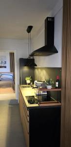a kitchen with a stove and a bed in the background at Villa Ružmarin in Lovište