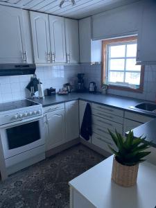 a kitchen with white cabinets and a potted plant at Lite hus i Vestre Slidre in Vollen +11 photos