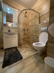 a bathroom with a shower and a toilet and a sink at Krčma Jahorina in Jahorina