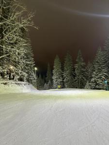 a snow covered road with trees in the background at Krčma Jahorina in Jahorina