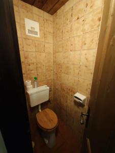 a small bathroom with a toilet and a sink at Nassfeld Sonnleitn by Semi in Hermagor