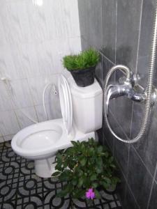 Koupelna v ubytování Niwasa House