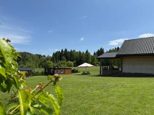 a yard with a building and a picnic table at Chata Umilajka Bieszczady in Czarna