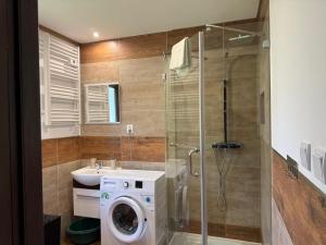 a bathroom with a washing machine and a shower at Chata Umilajka Bieszczady in Czarna