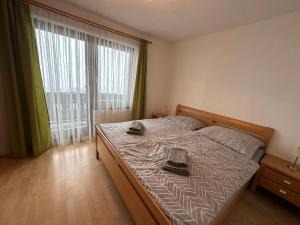 a bedroom with a bed and a large window at Haus Ernestine in Sankt Urban