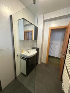 a bathroom with a sink and a mirror at Haus Ernestine in Sankt Urban +38 photos