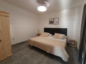 a bedroom with a large bed in a room at Bismark Studio in Marcos Juárez