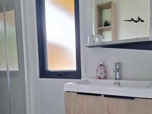 a bathroom with a white sink and a mirror at Mobile Home in Austrian Countryside in Altossiach +29 photos
