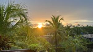 a sunset with palm trees in front of a field at Mi refugio in Moñitos