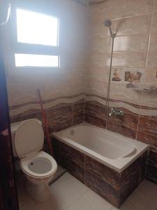 a bathroom with a toilet and a bath tub at Charming blue see view apartment in Alexandria +24 photos