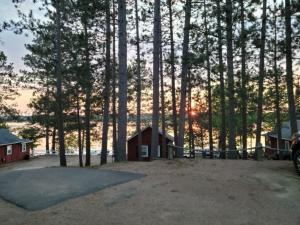 a small cabin in the middle of a forest at Loons Landing Legacy in Saint Germain