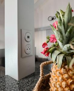 a pineapple sitting on a counter next to a lightswitch at Ti kè an mwen in Pointe-Noire